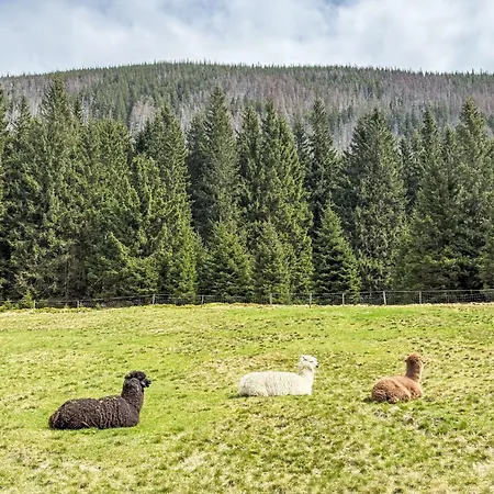 Appartement Timberline Peak Duplex & Bath By Interhome