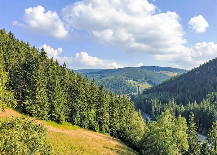 Timberline Peak Duplex & Bath By Interhome